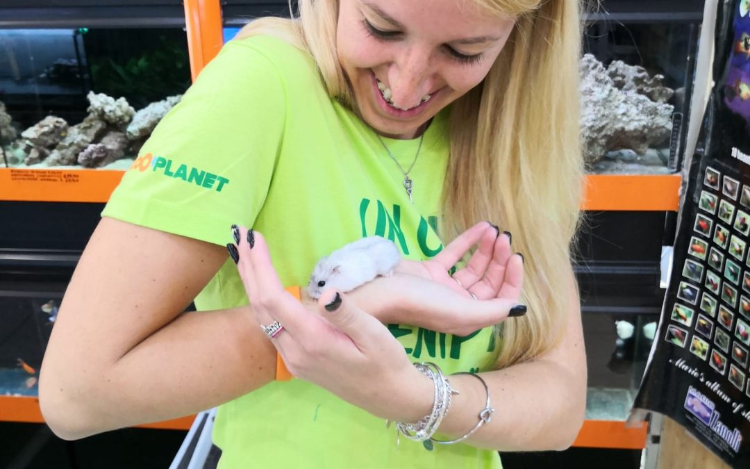 nuovi negozi zooplanet