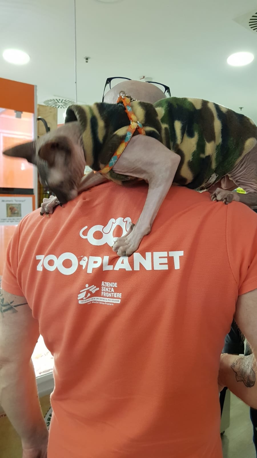 nuovi negozi zooplanet