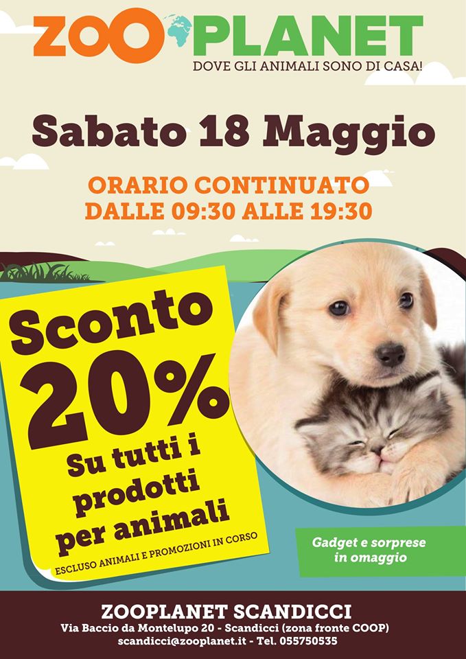Scandicci