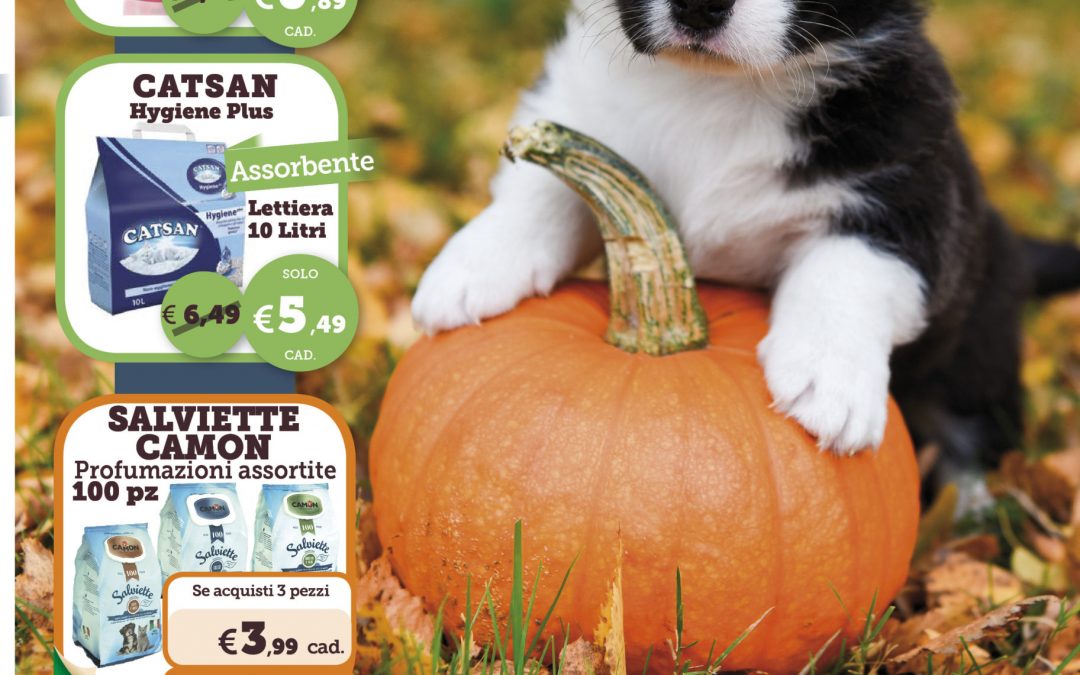 Offerte Zooplanet