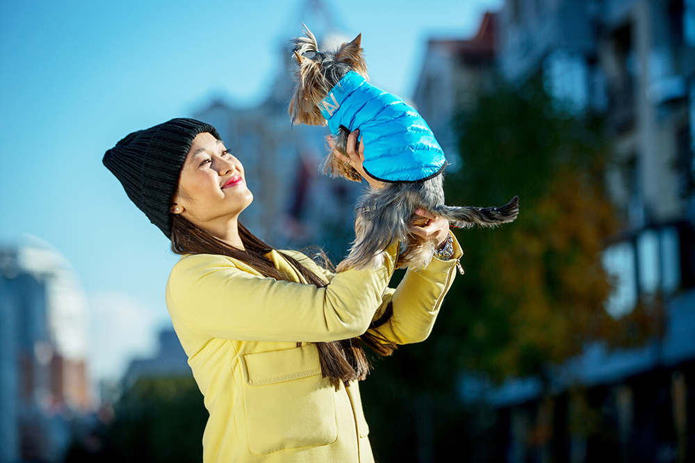 Proteggere il cane dal freddo