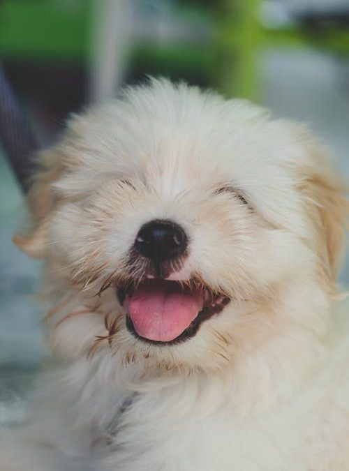 :-)