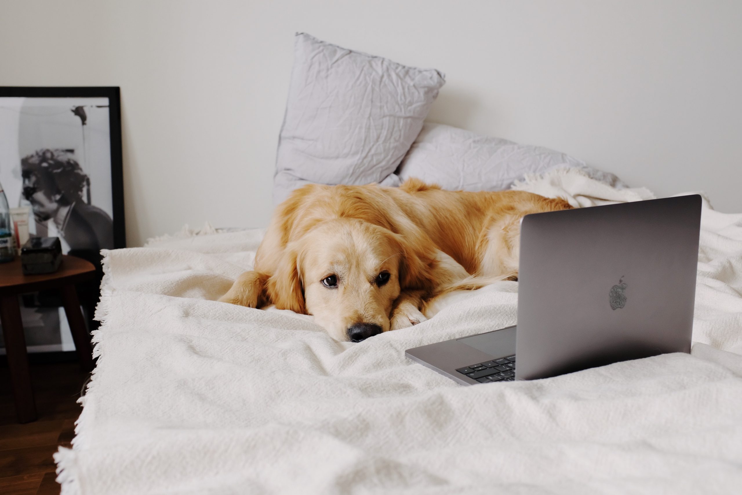cane macbook