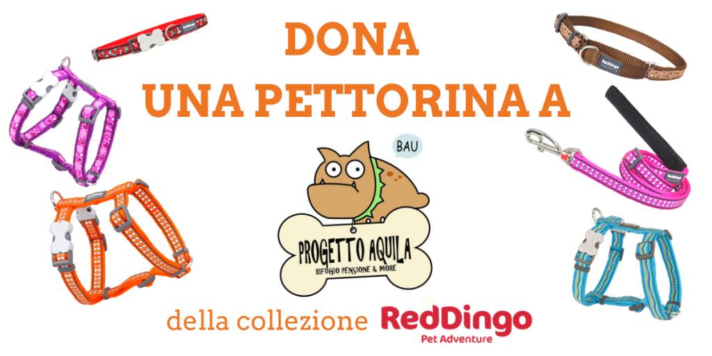 Progetto Aquila