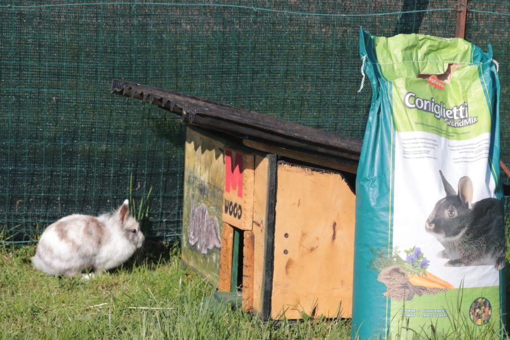 Guardie per l'ambiente Regione Veneto