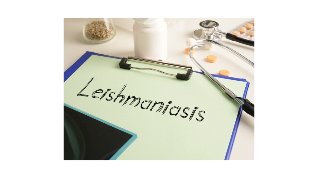 leishmania