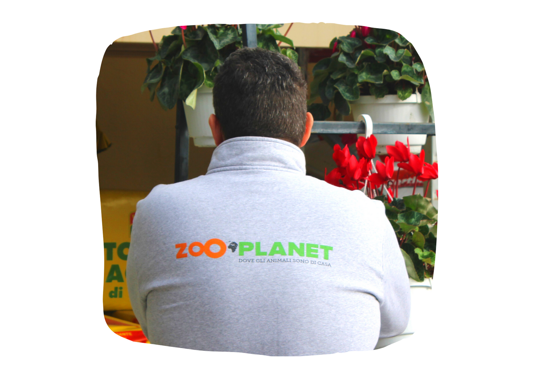 Zooplanet Franchising