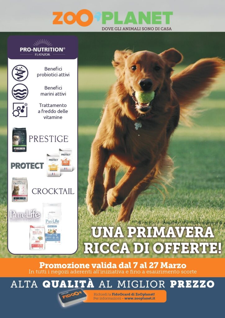offerte per animali