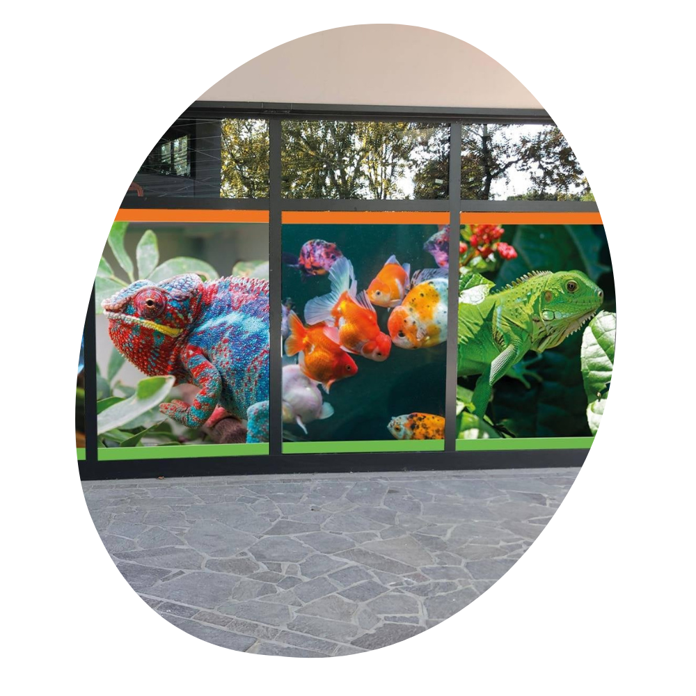 Negozio Zooplanet