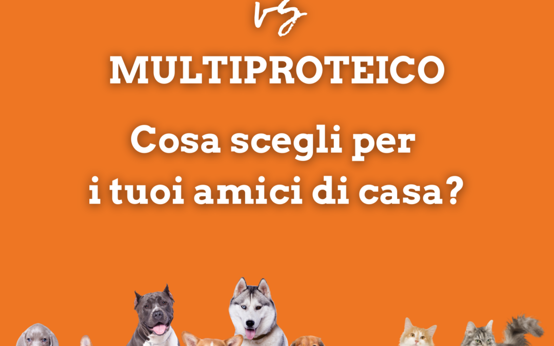 Multiproteico o Unica fonte proteica