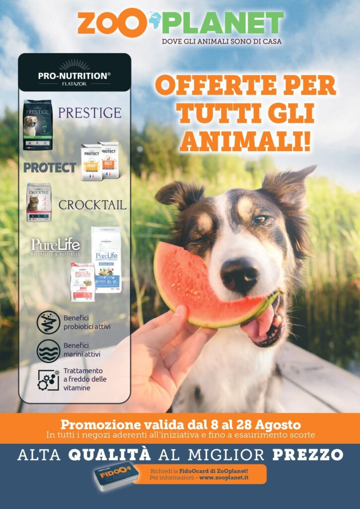 offerte per animali