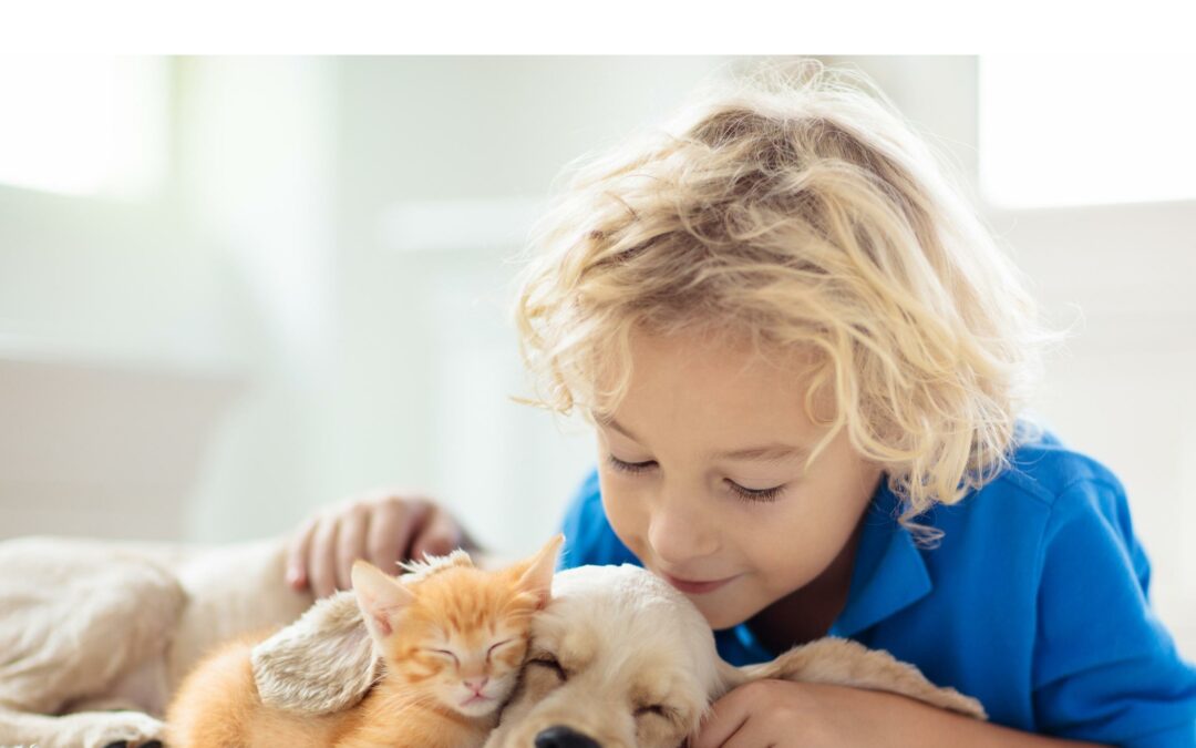 offerte per animali
