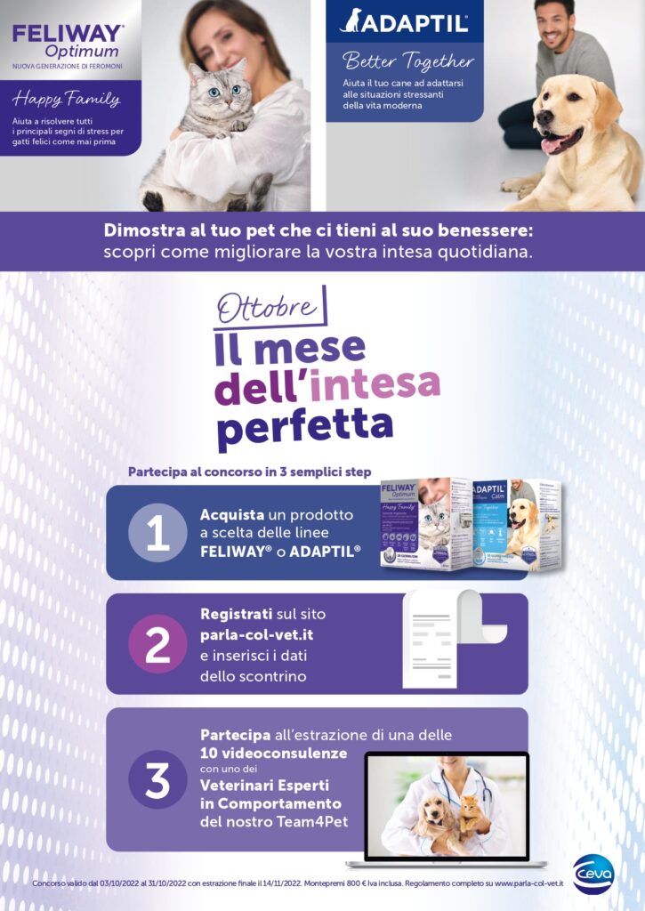 offerte per animali