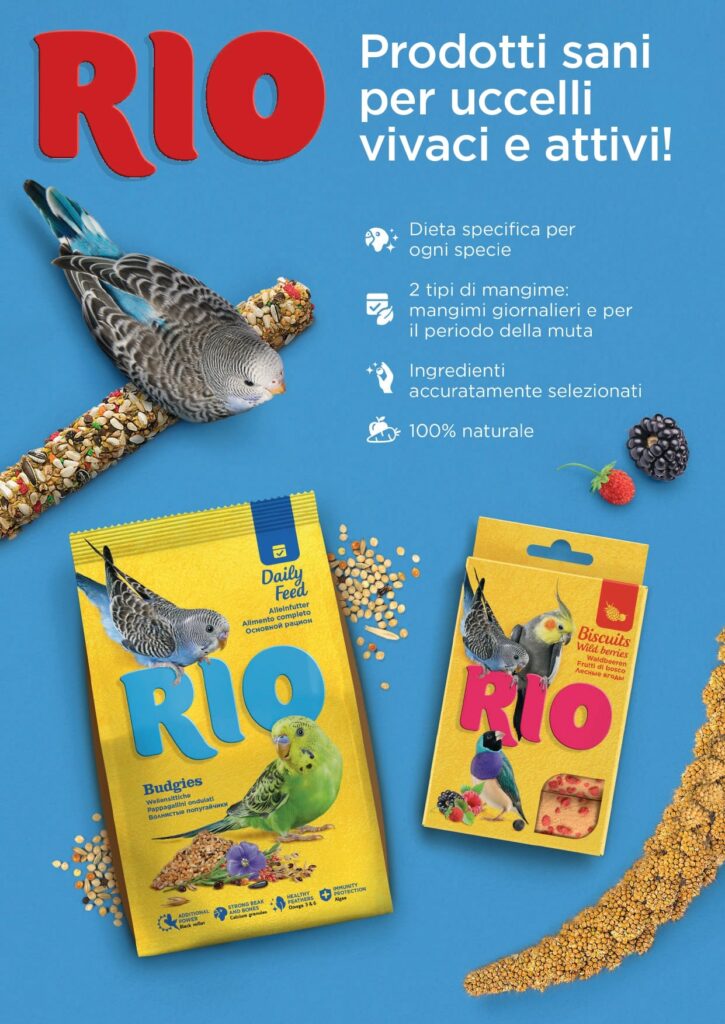 offerte per animali