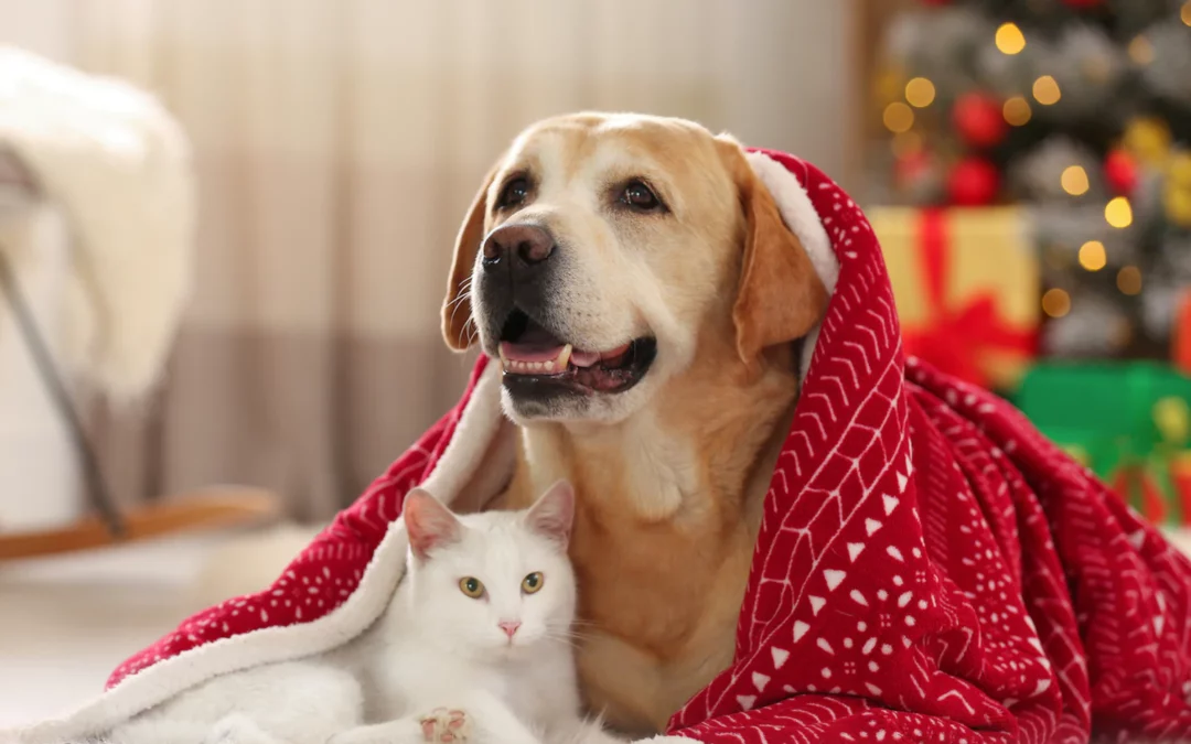 Tutte le offerte per animali dal 8/12 al 28/12