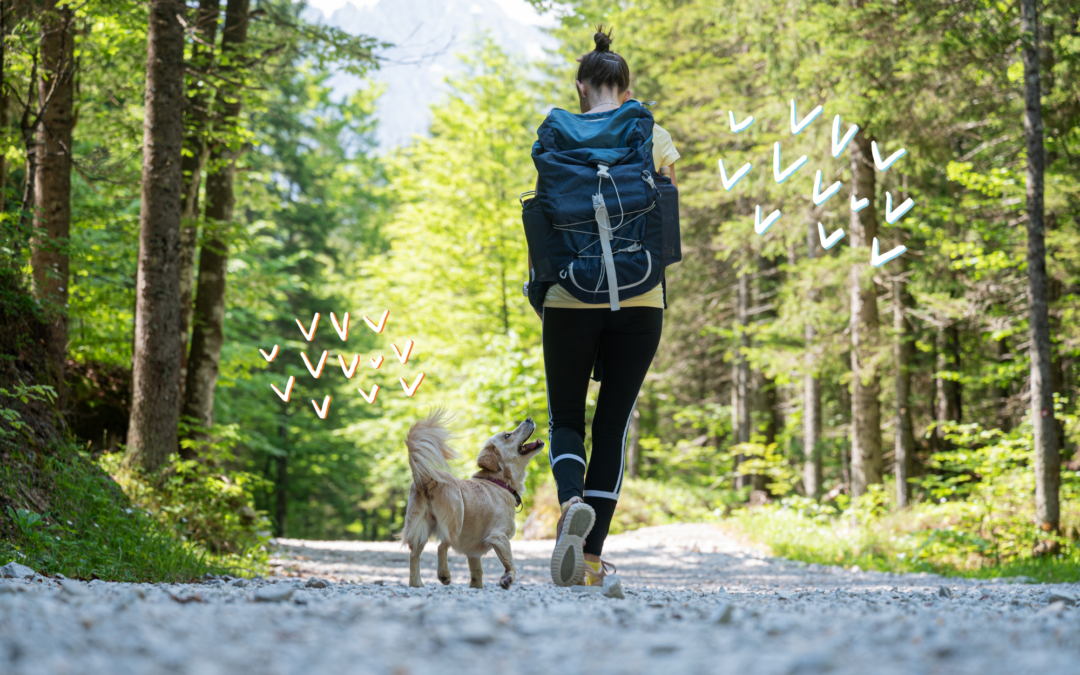 Le attività da praticare all’aperto con il cane